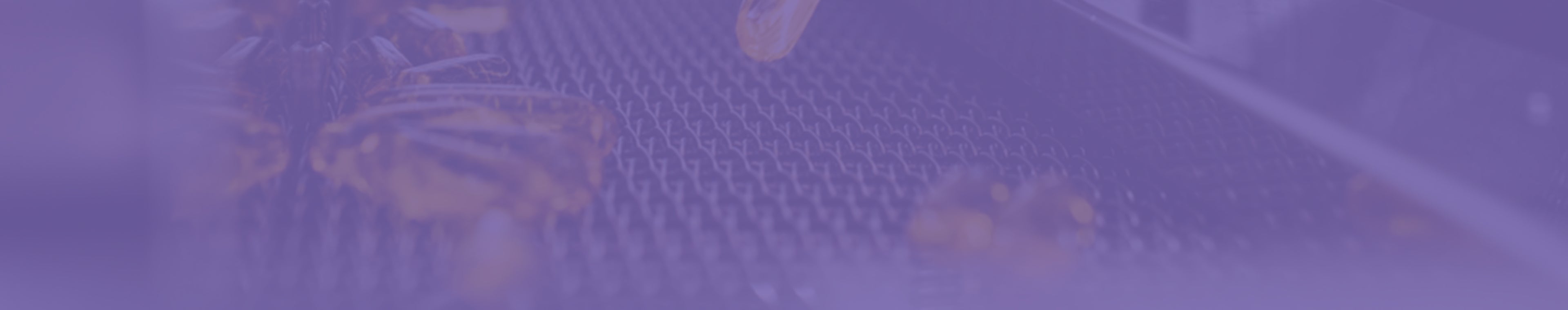 Selection of supplement forms including capsules, tablets, and softgels, highlighting Biowell Labs' expertise in contract manufacturing, private labelling, and packaging of powder, gummies, and oral liquid supplements